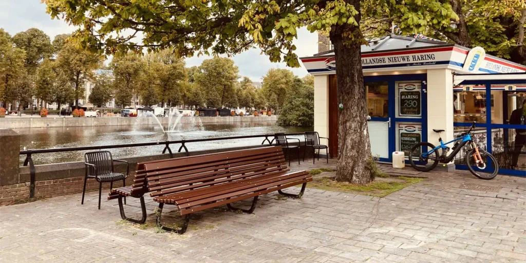 A Stroll from Software Quality, to Function Points, to Money