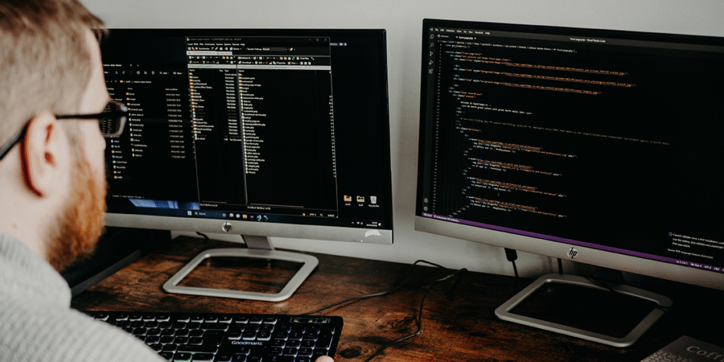 Software Engineer / Analyst